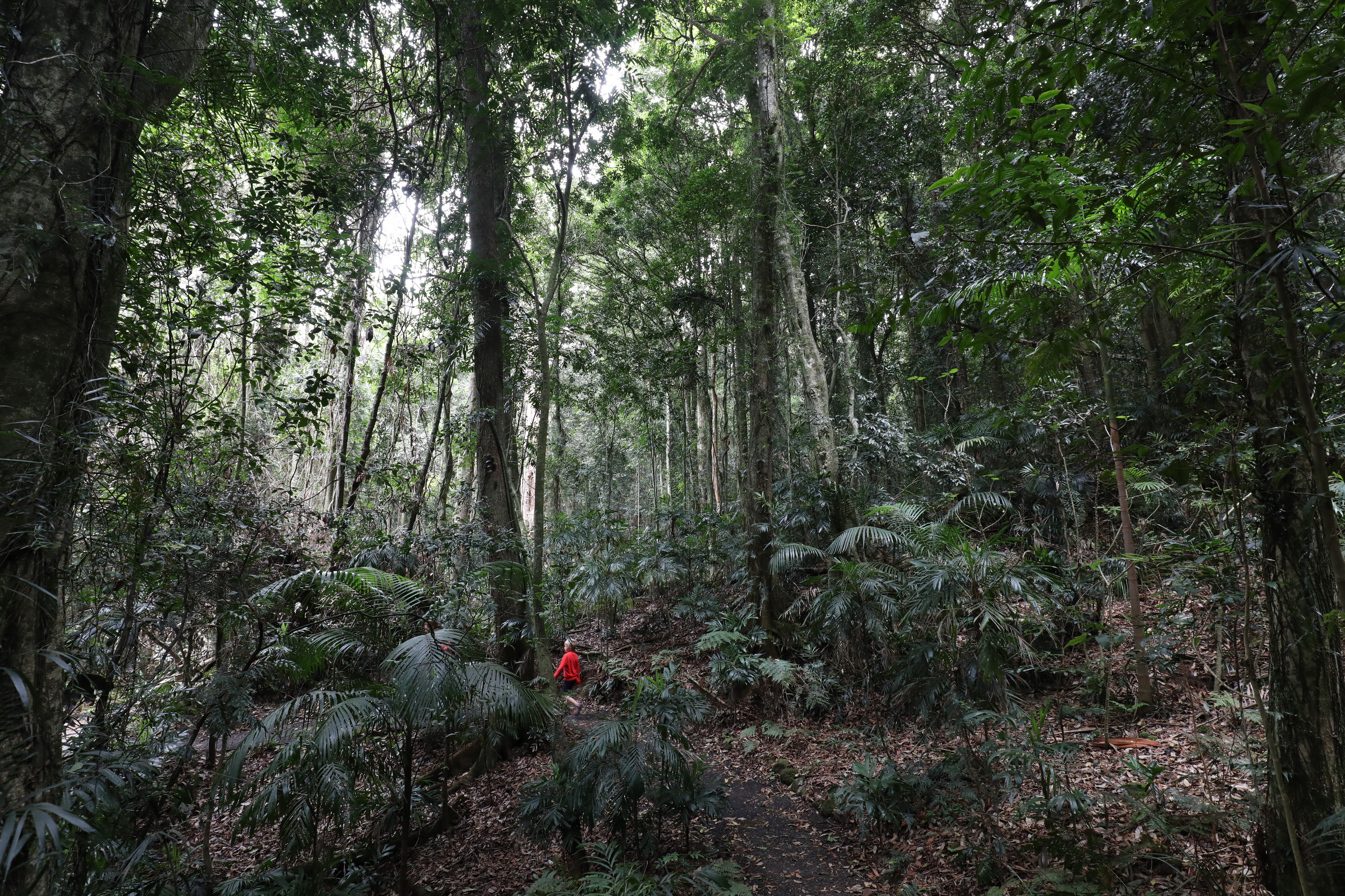 2020 01 14 15 29 17 Canon EOS 5D Mark IV 0020